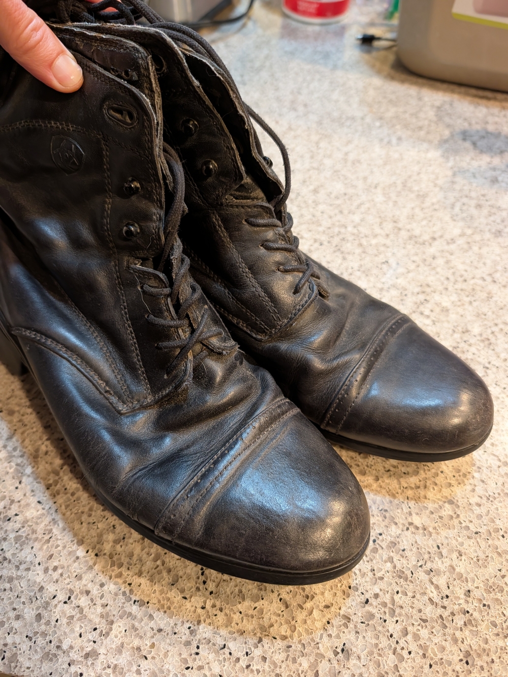 Ariat Paddock Boots Ladies 11